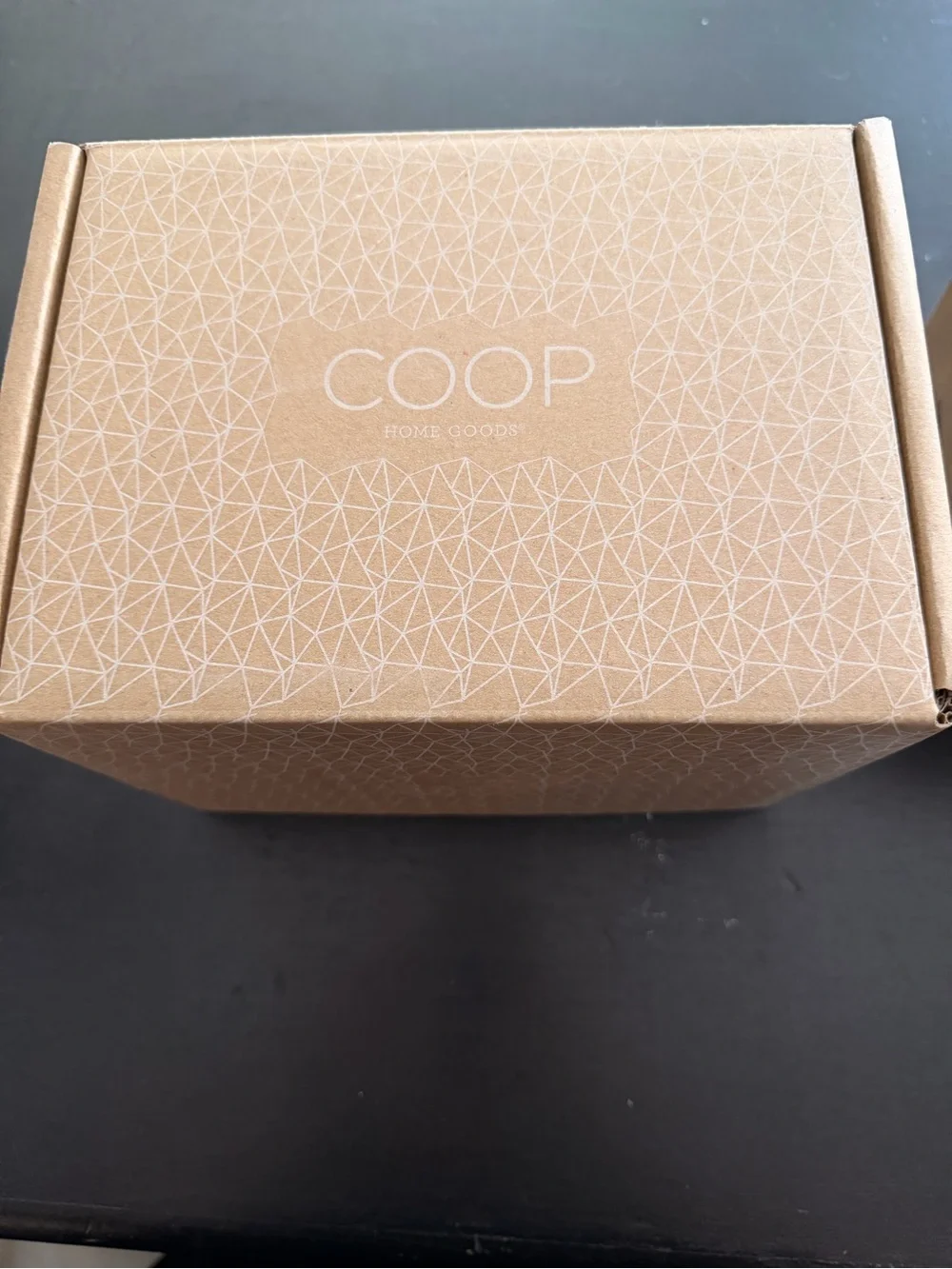 COOP Home Goods Four Position Support Pillow – NEW in Original Box & Wrapper